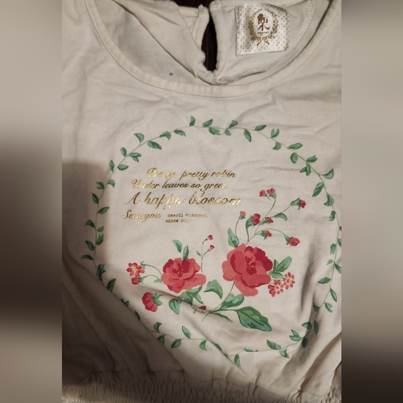 Kawaii Floral Off-White Flare Dress - Picture 4 of 4